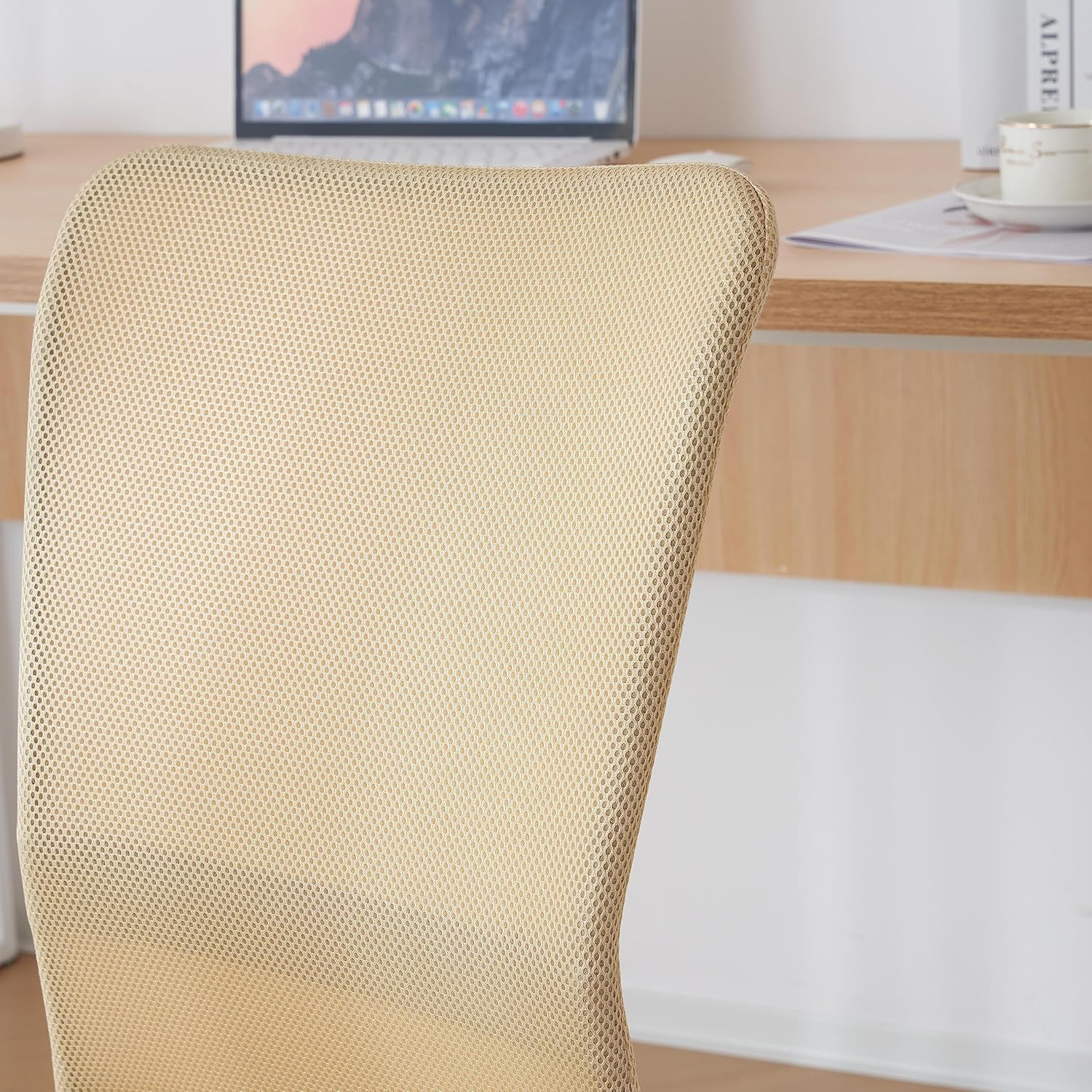 クロッツファー オーボエリード 46mm M.B. 21本 クロッツファー